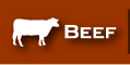 Beef Processing