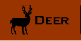 Deer Processing